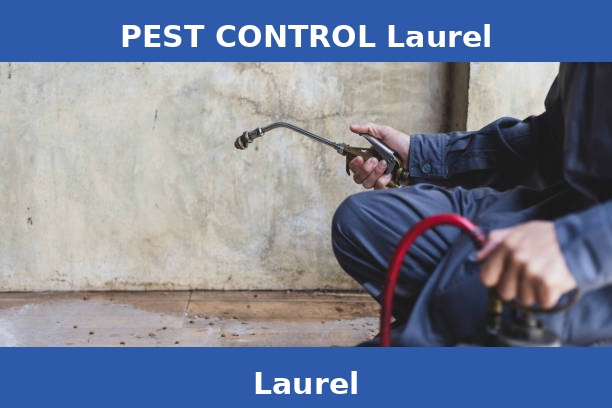 PEST CONTROL Laurel